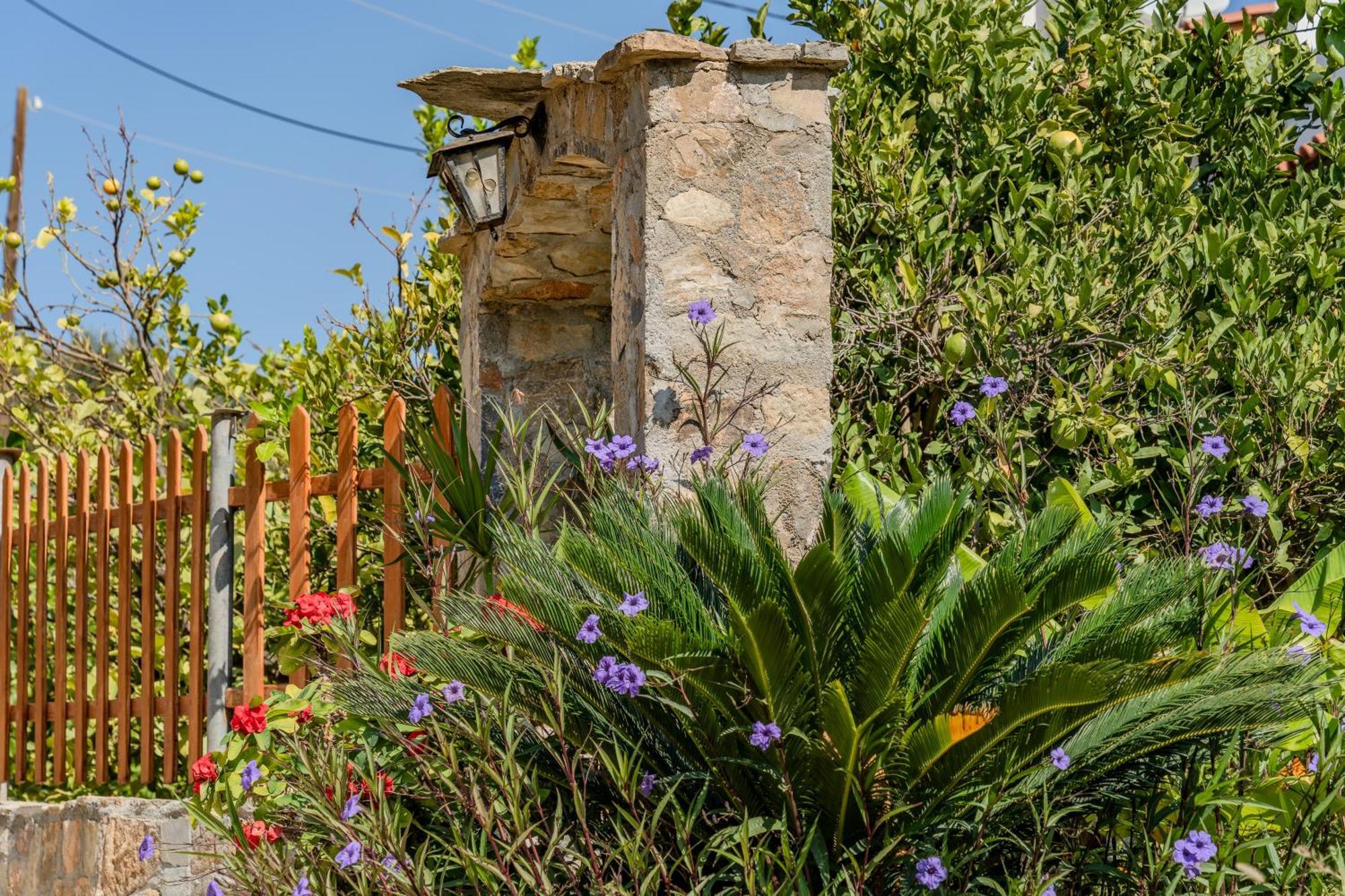 Athina Villas Istro Exterior photo